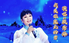 殷秀梅我爱塞北的雪,殷秀梅深情演绎