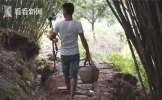 网红村生存,数字时代下的乡村新生态