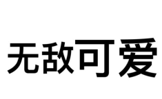 pyq私密文字,探索编程世界的隐藏密码