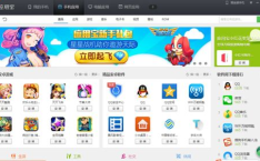瑞丝馆网站破解,破解网站背后的秘密与魅力